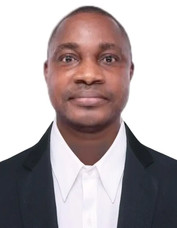 Kingsley Agordo - Consultant